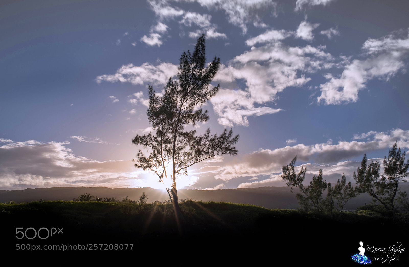 Nikon D810 sample photo. Untitled photography