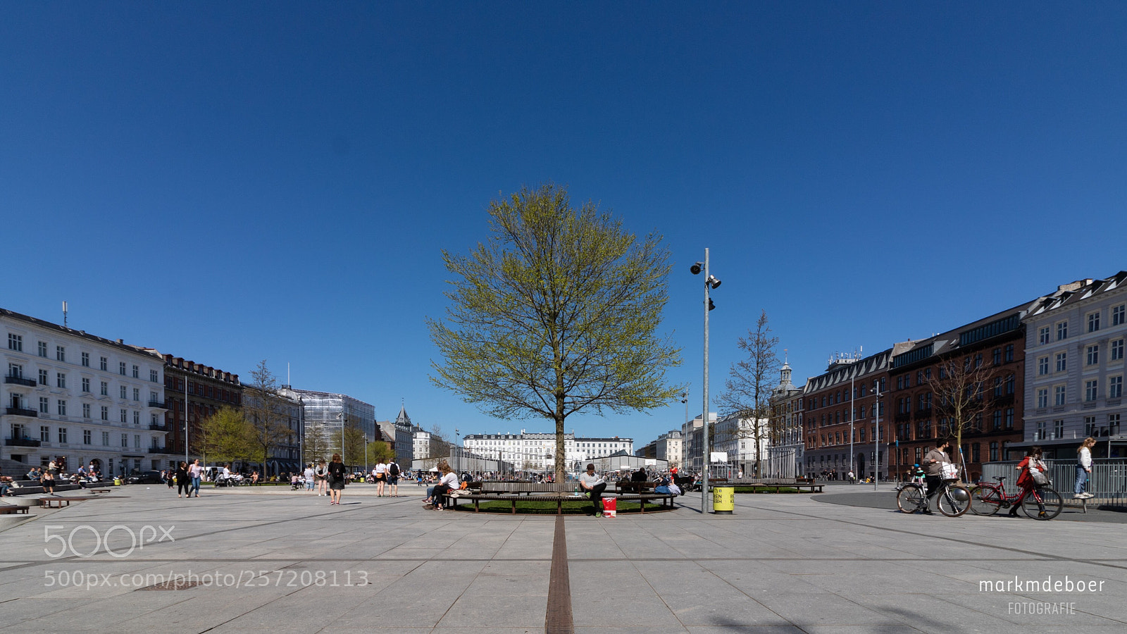 Canon EOS 750D (EOS Rebel T6i / EOS Kiss X8i) sample photo. The tree photography