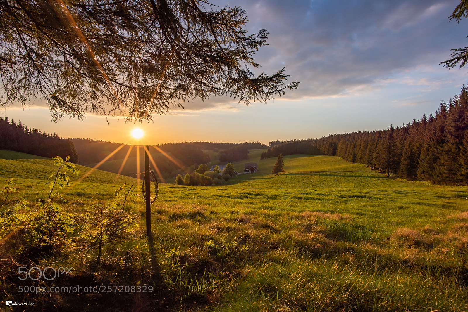 Nikon D810 sample photo. Sonnenuntergang photography