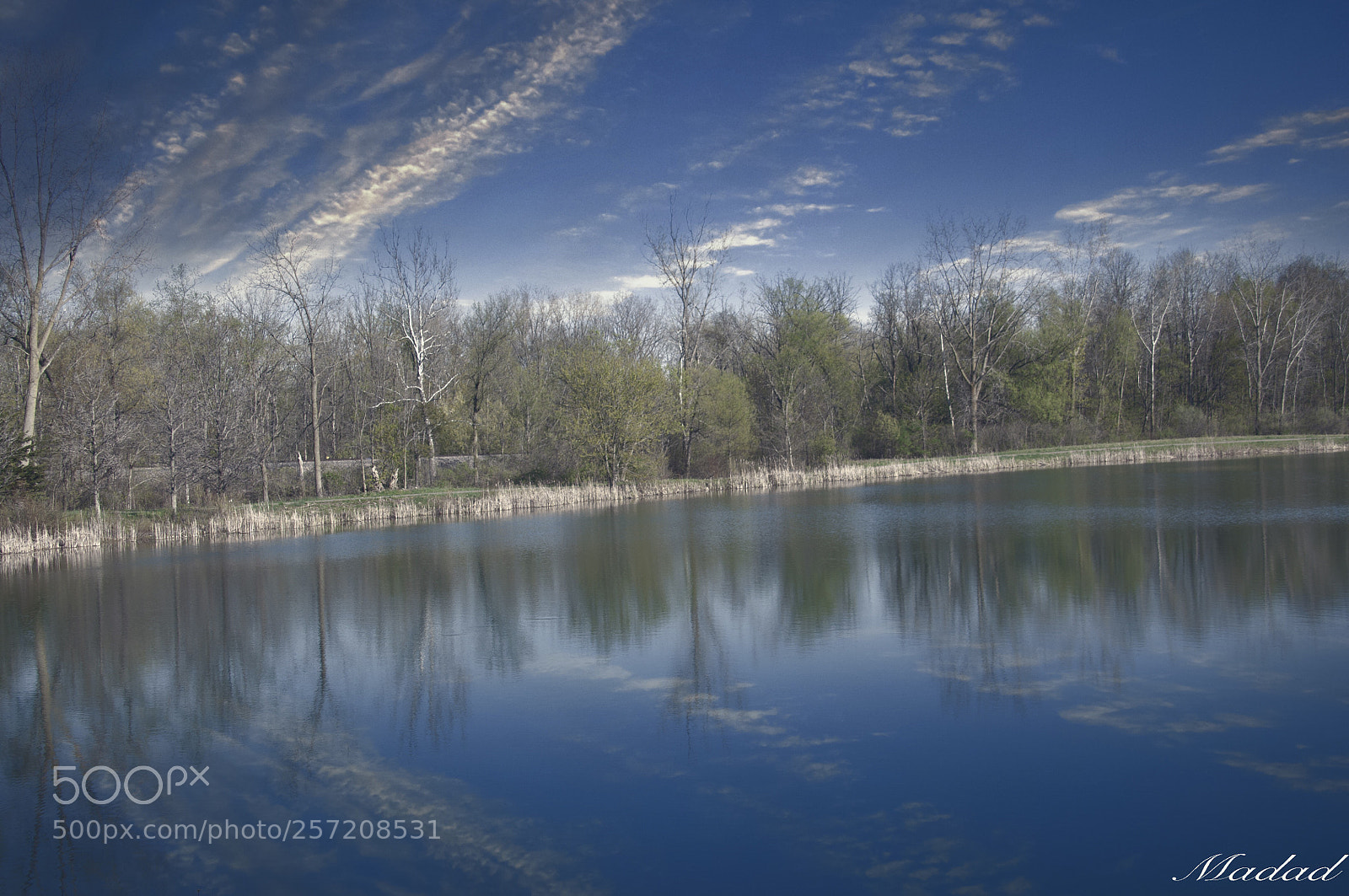 Nikon D90 sample photo. Untitled photography