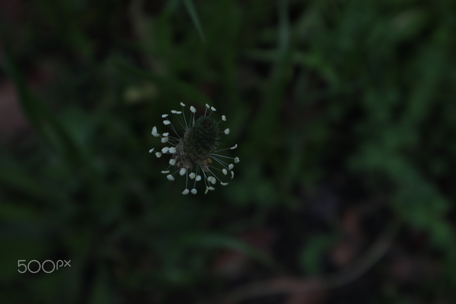 Canon EOS M6 sample photo. After the rain photography
