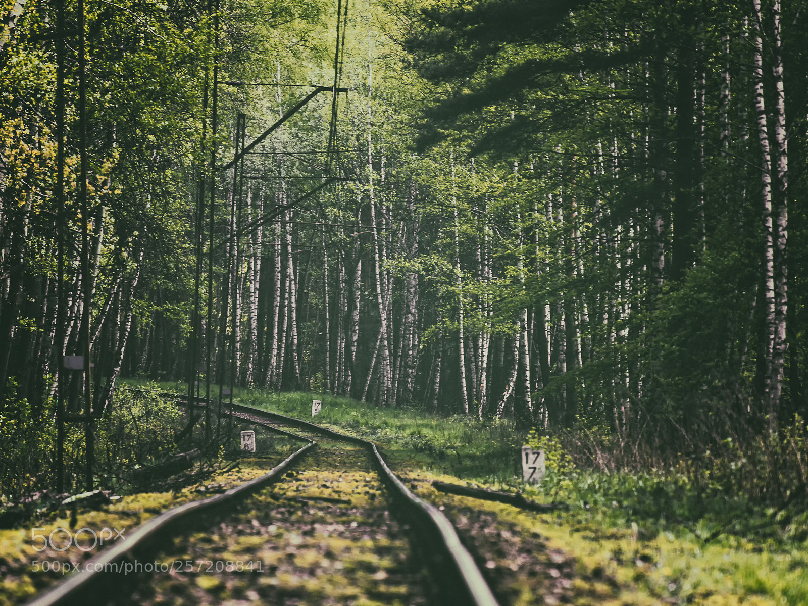 Nikon D610 sample photo. Iron road photography