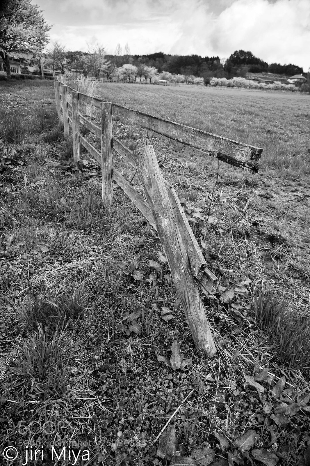 Canon EOS 5D Mark II sample photo. A broken down fence photography