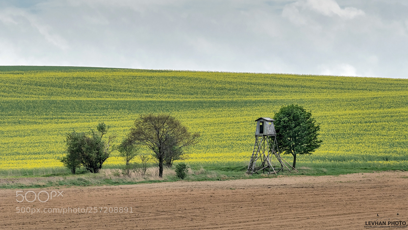 Nikon D500 sample photo. Czech highlands photography