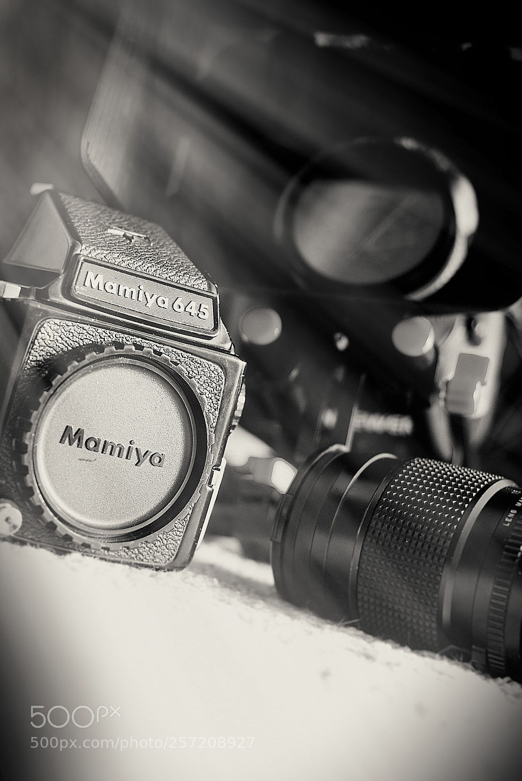 Nikon D80 sample photo. Photography and cinematography photography