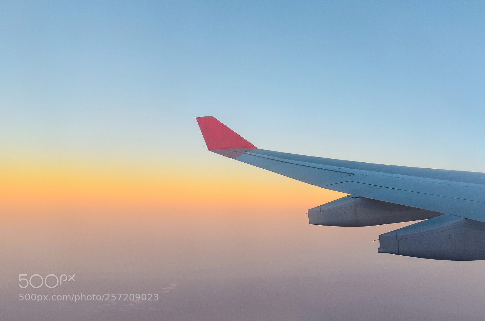 Nikon D5100 sample photo. Morning flight photography