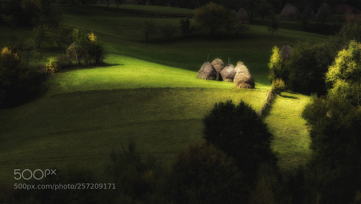Nikon D610 sample photo. Lights on the hill photography