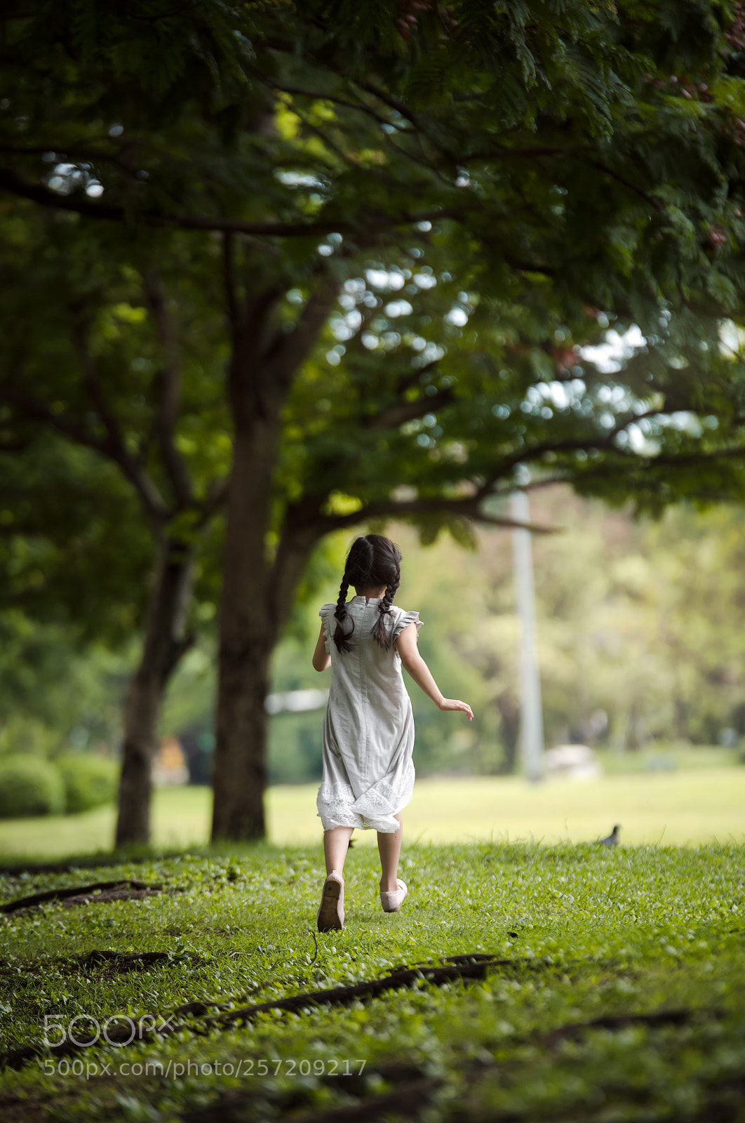 Nikon D750 sample photo. Little girl in the photography