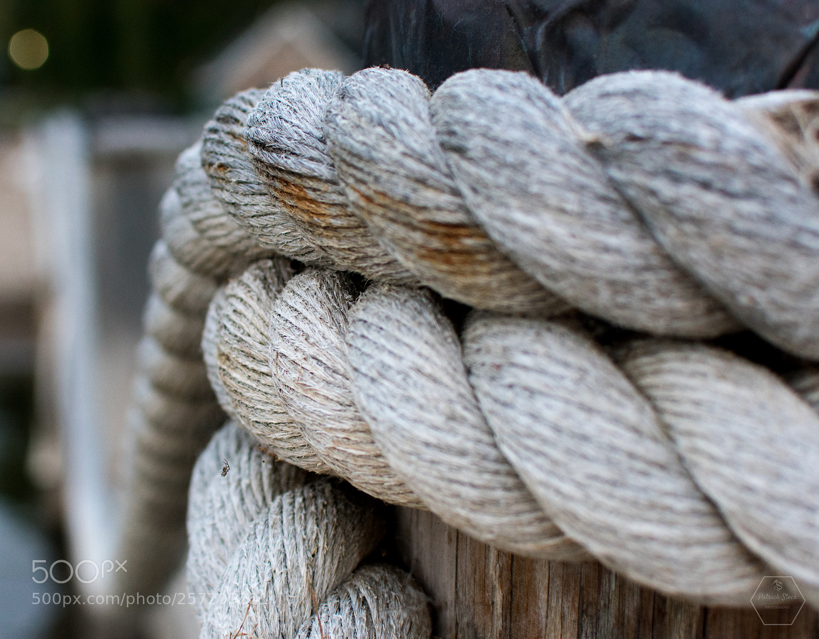 Nikon D3400 sample photo. Day at the docks photography