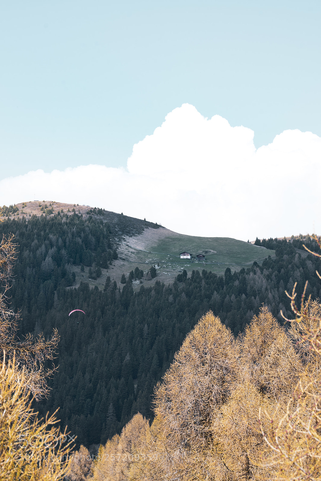 Sony a7 sample photo. Alpe photography