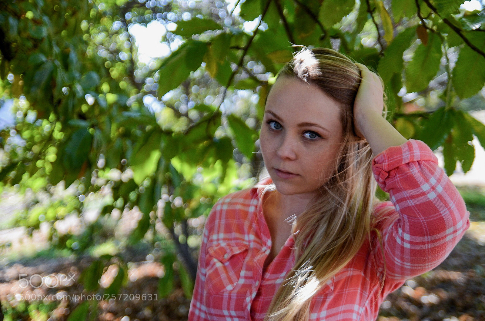 Nikon D7000 sample photo. Apple picking photography