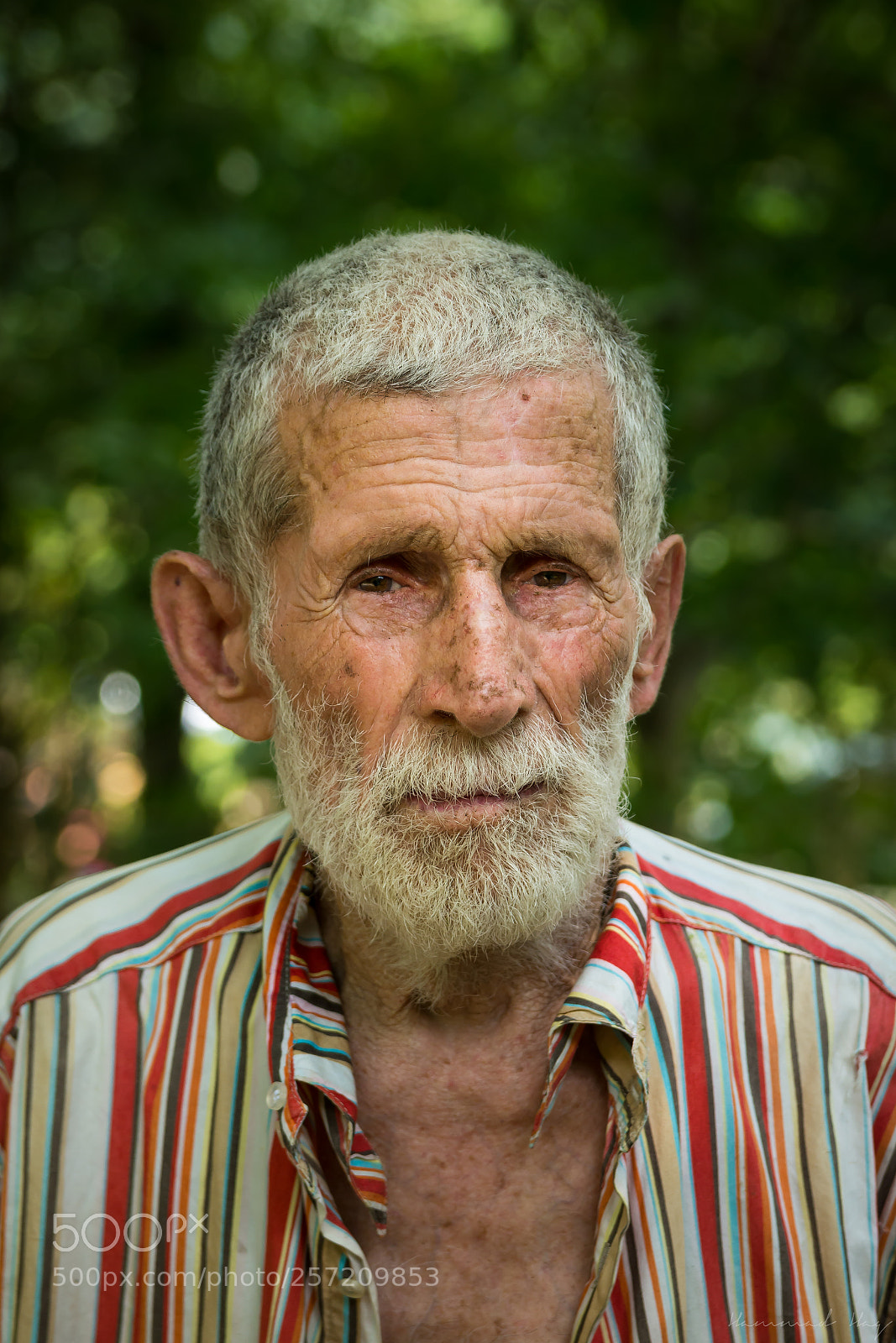 Nikon D7100 sample photo. The honey seller photography