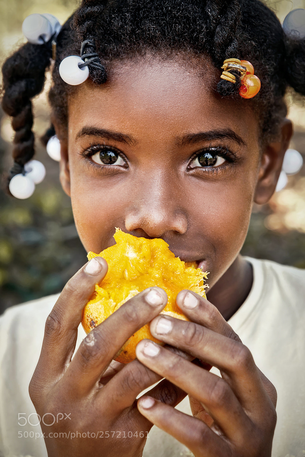 Canon EOS 5D Mark II sample photo. A mango for yosoli photography
