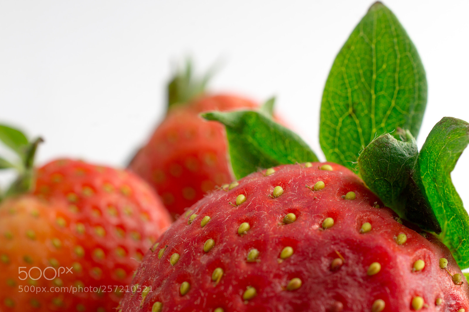 Nikon D3200 sample photo. Plenty of flavour photography