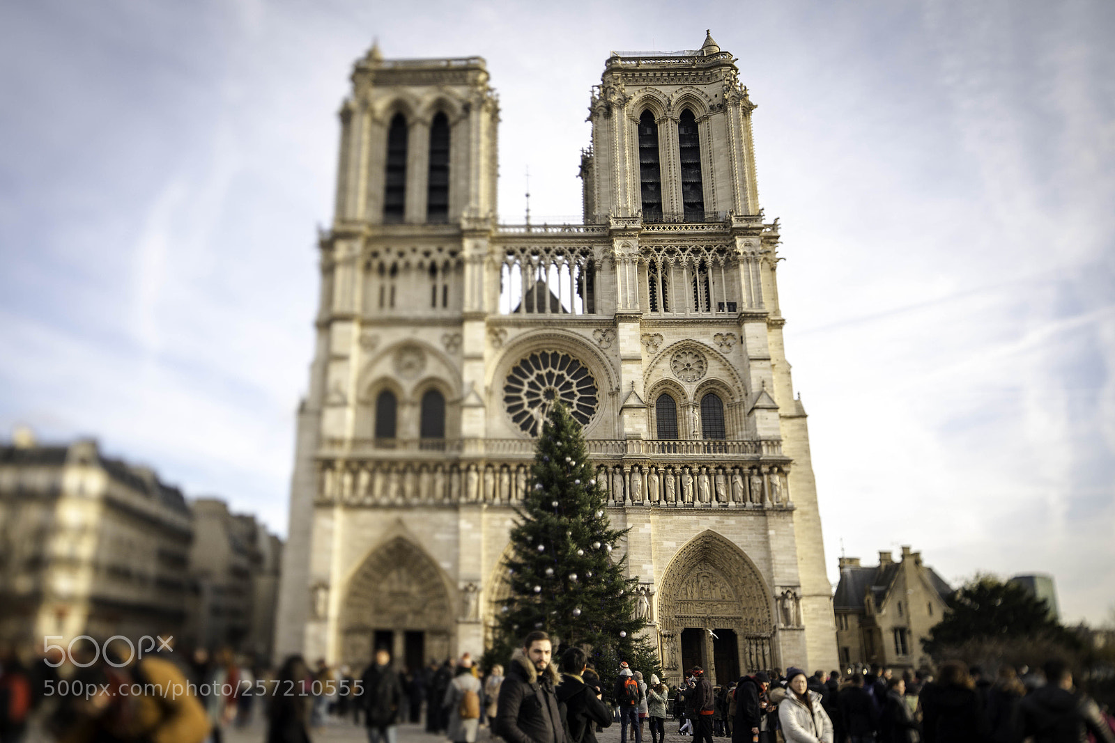 Canon EOS 70D sample photo. Notre-dame photography
