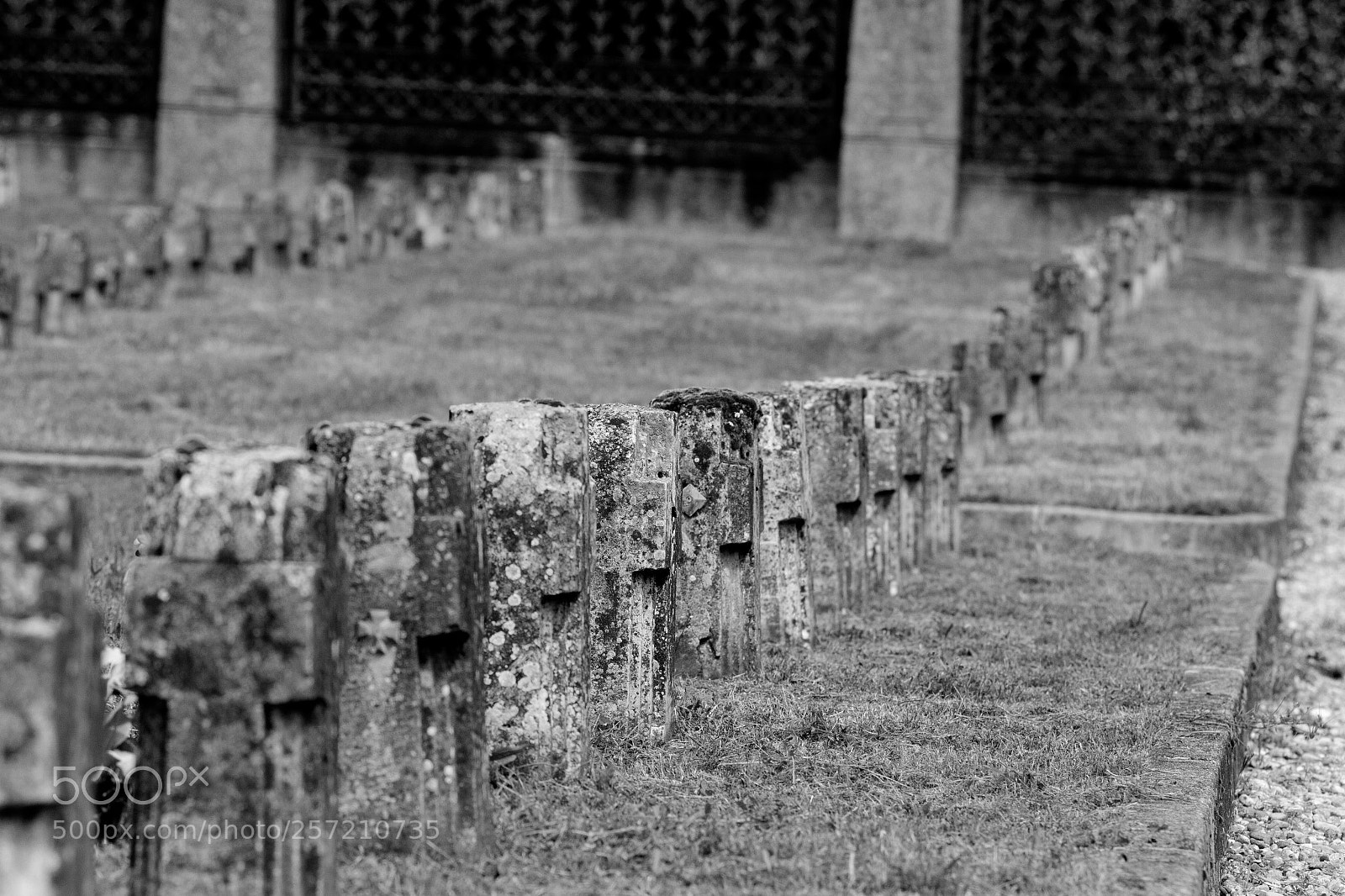 Canon EOS 7D sample photo. La strada è ancora lunga photography