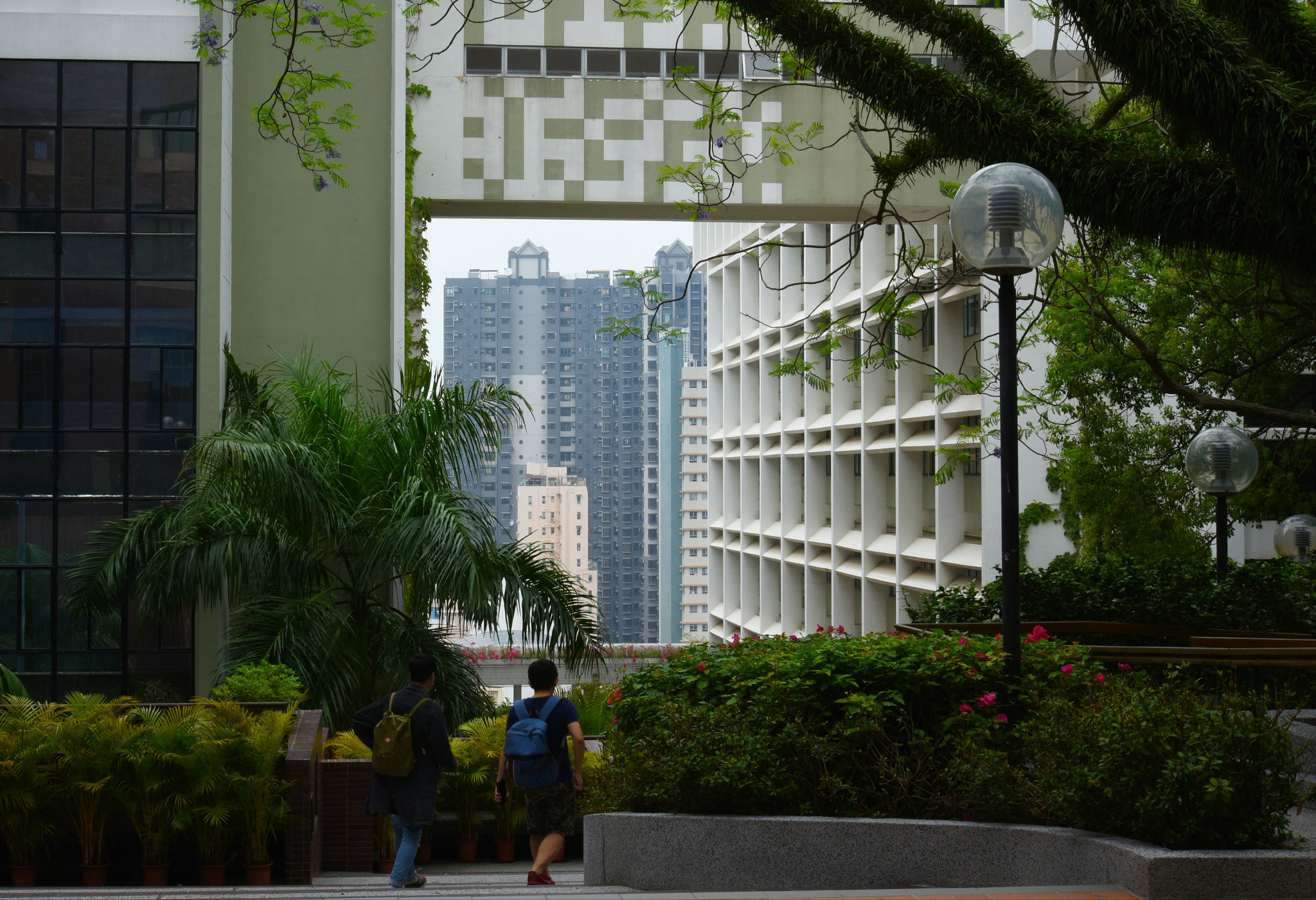Nikon D750 sample photo. City through frame photography