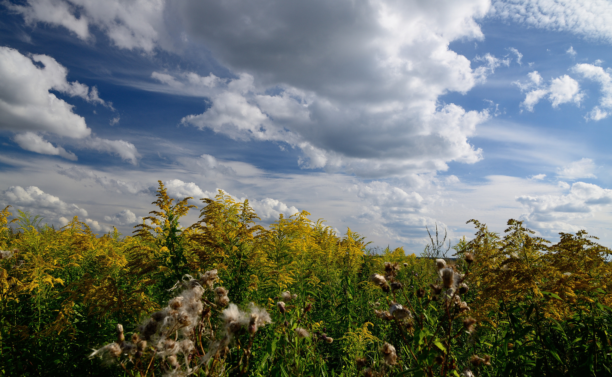 Nikon D7000 sample photo. Drifting clouds photography