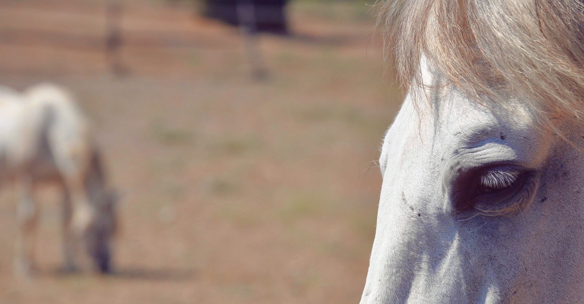 Nikon D5000 sample photo