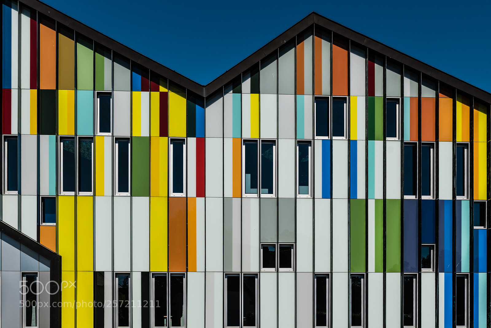 Nikon D750 sample photo. A colorful musicschool near photography