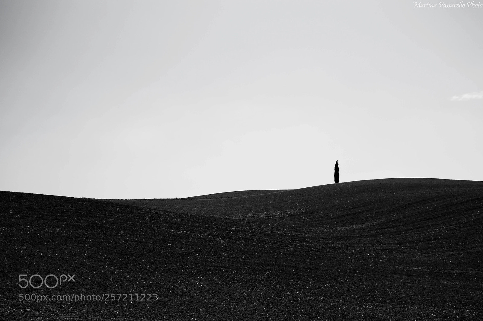 Nikon D3200 sample photo. Minimal photography