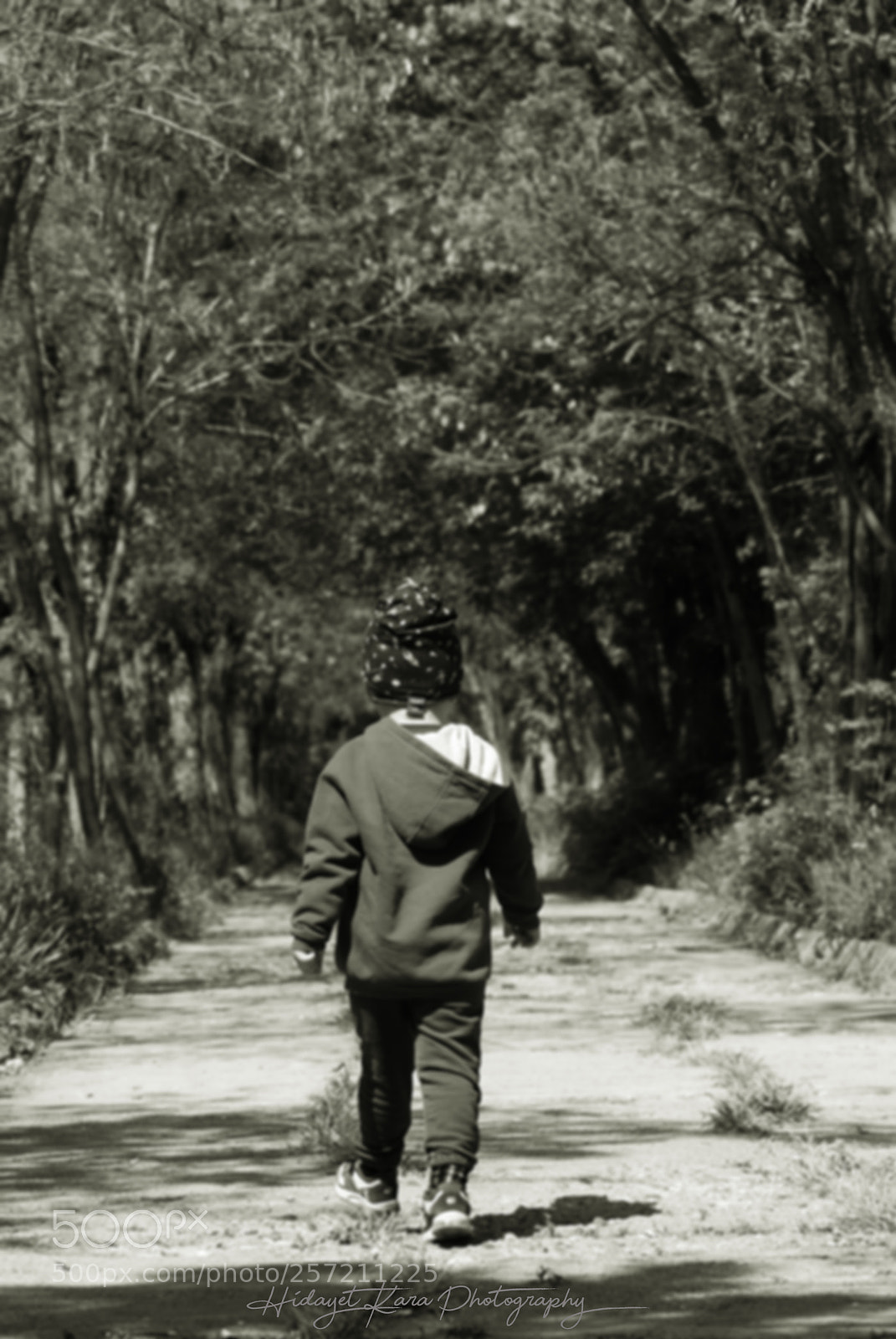 Nikon D80 sample photo. Gitmek photography