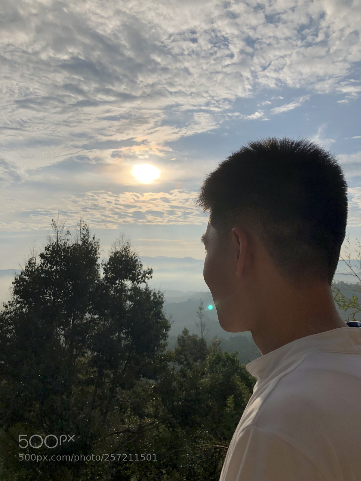 Apple iPhone 8 Plus sample photo. Img photography