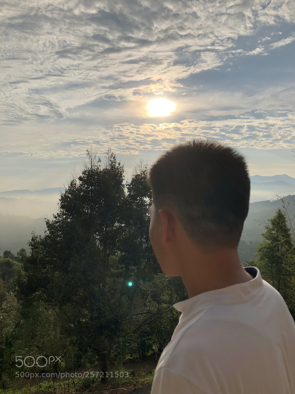 Apple iPhone 8 Plus sample photo. Img photography
