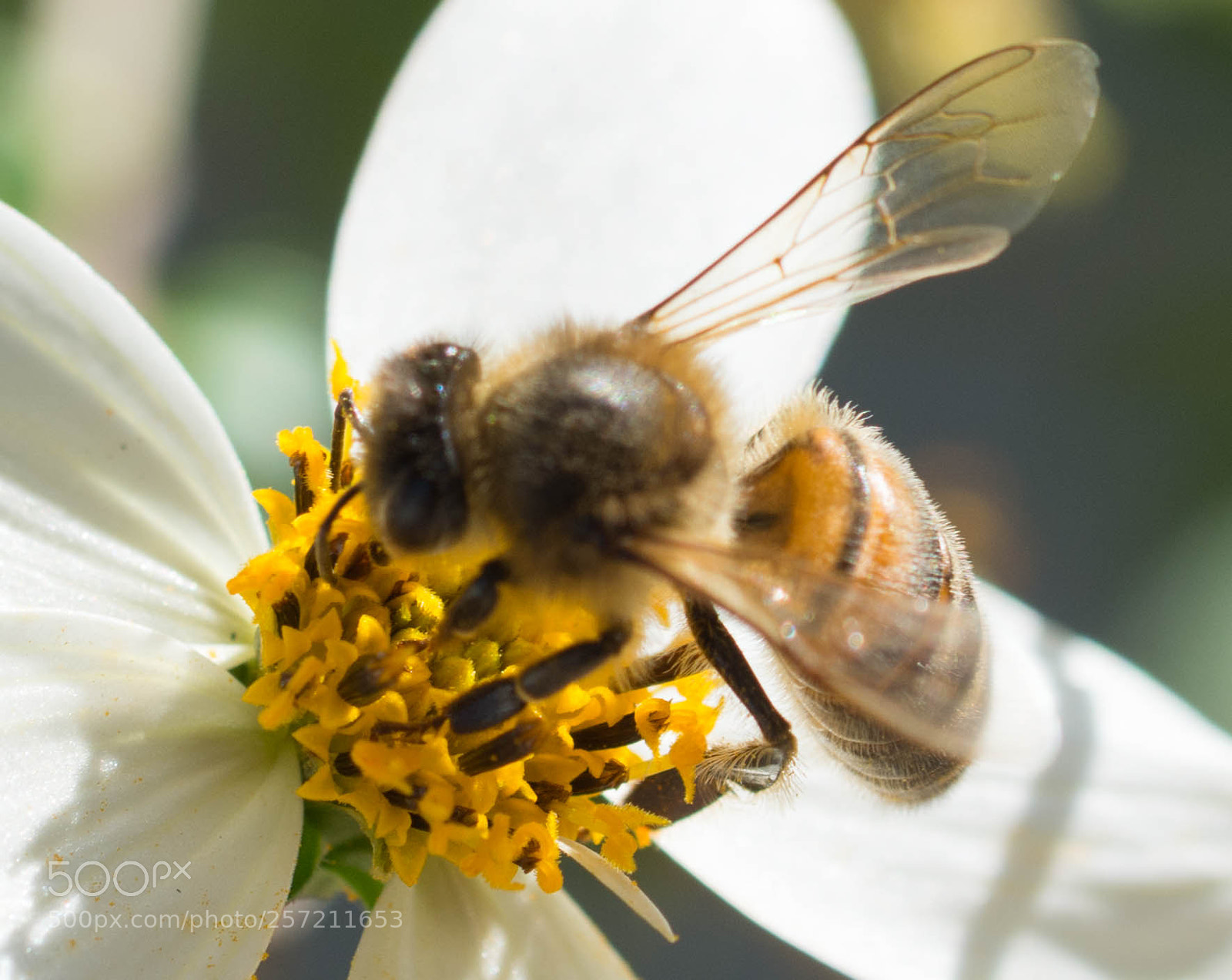 Nikon D7100 sample photo. 2017_10_dfl_0095-2.jpg photography