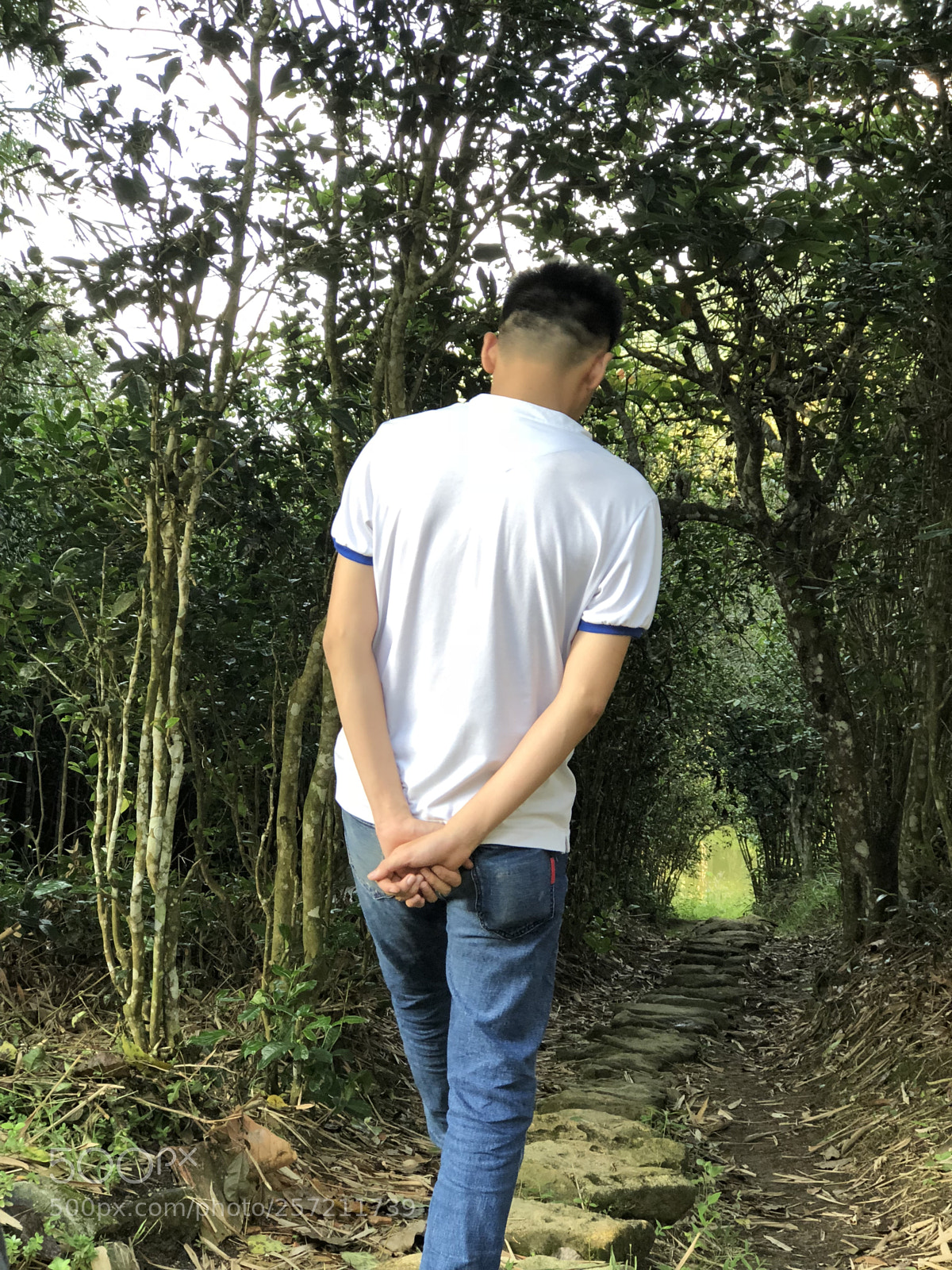 Apple iPhone 8 Plus sample photo. Img photography
