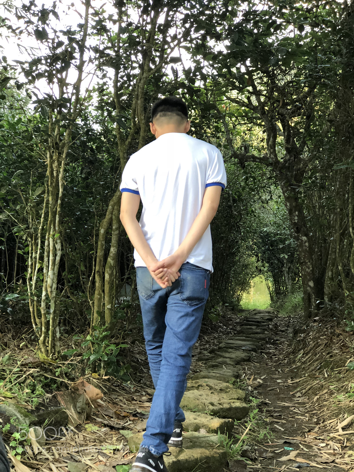 Apple iPhone 8 Plus sample photo. Img photography
