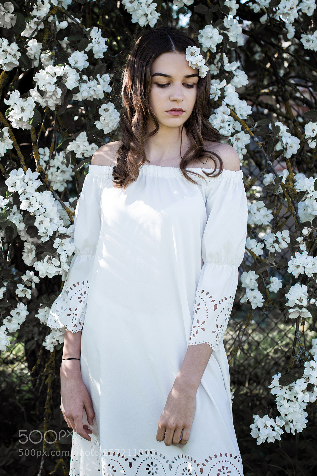 Nikon D750 sample photo. Blooming youth-2 photography