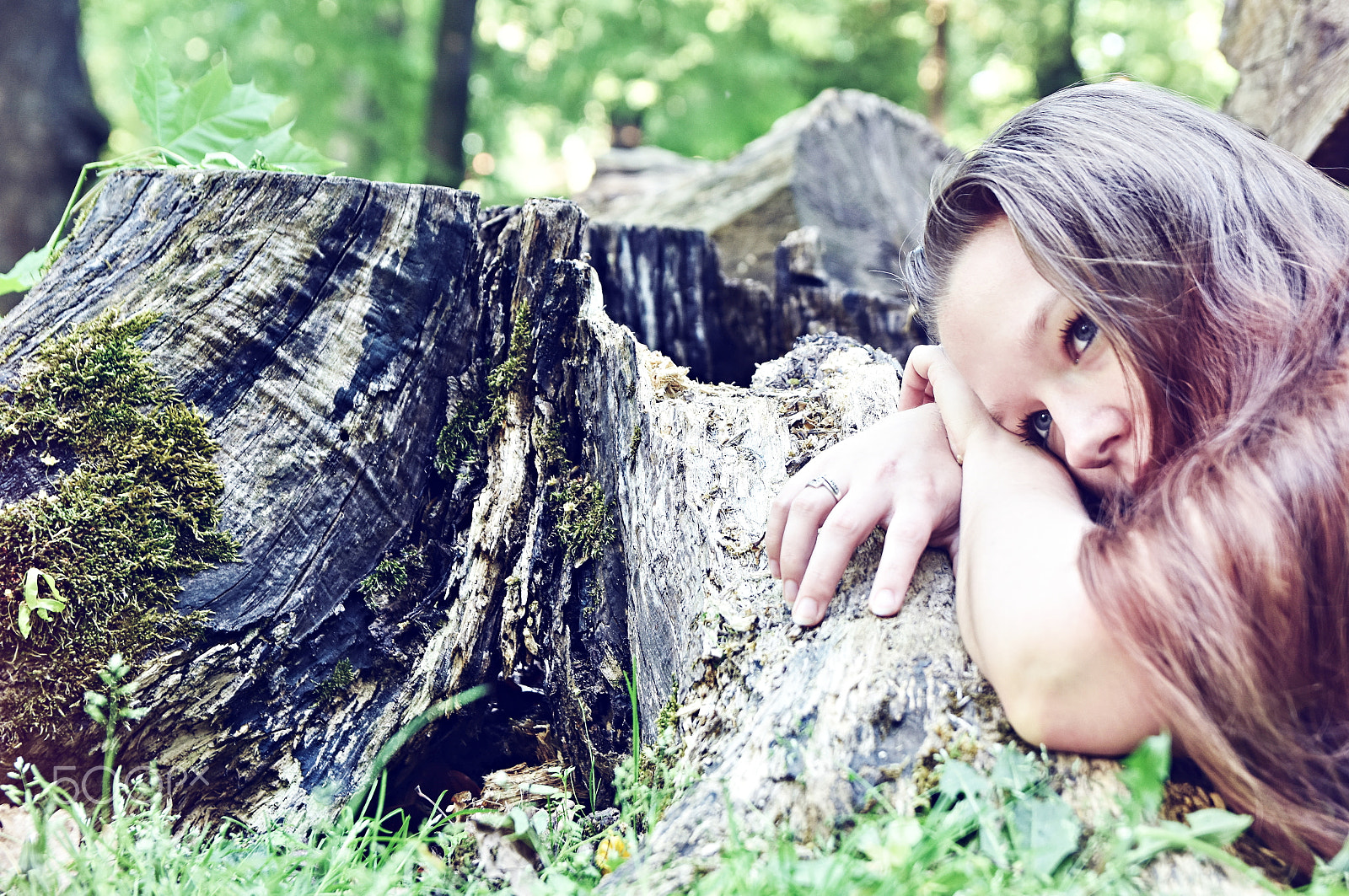 Sigma 17-50mm F2.8 EX DC OS HSM sample photo. Lost in the forest photography