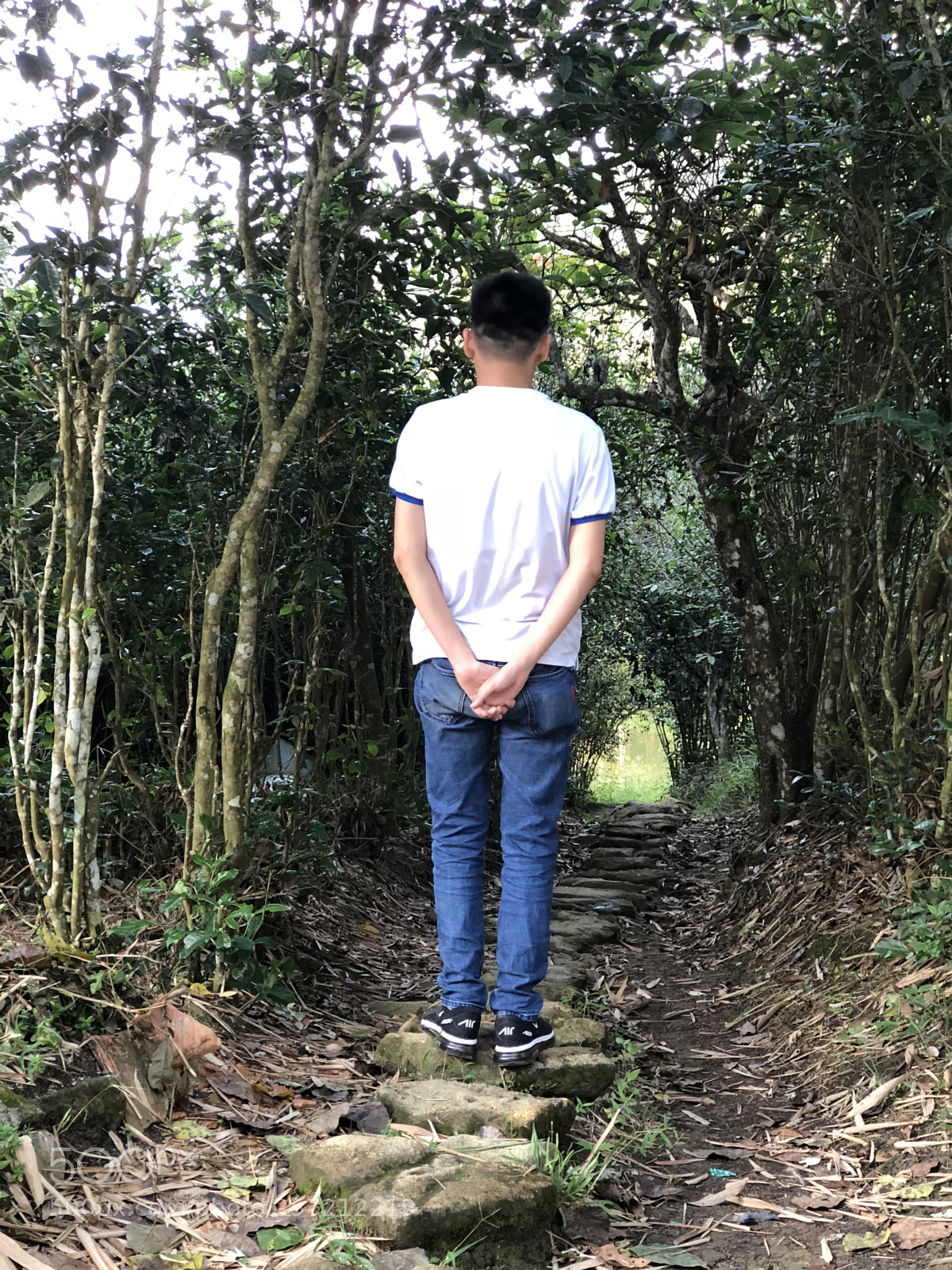 Apple iPhone 8 Plus sample photo. Img photography
