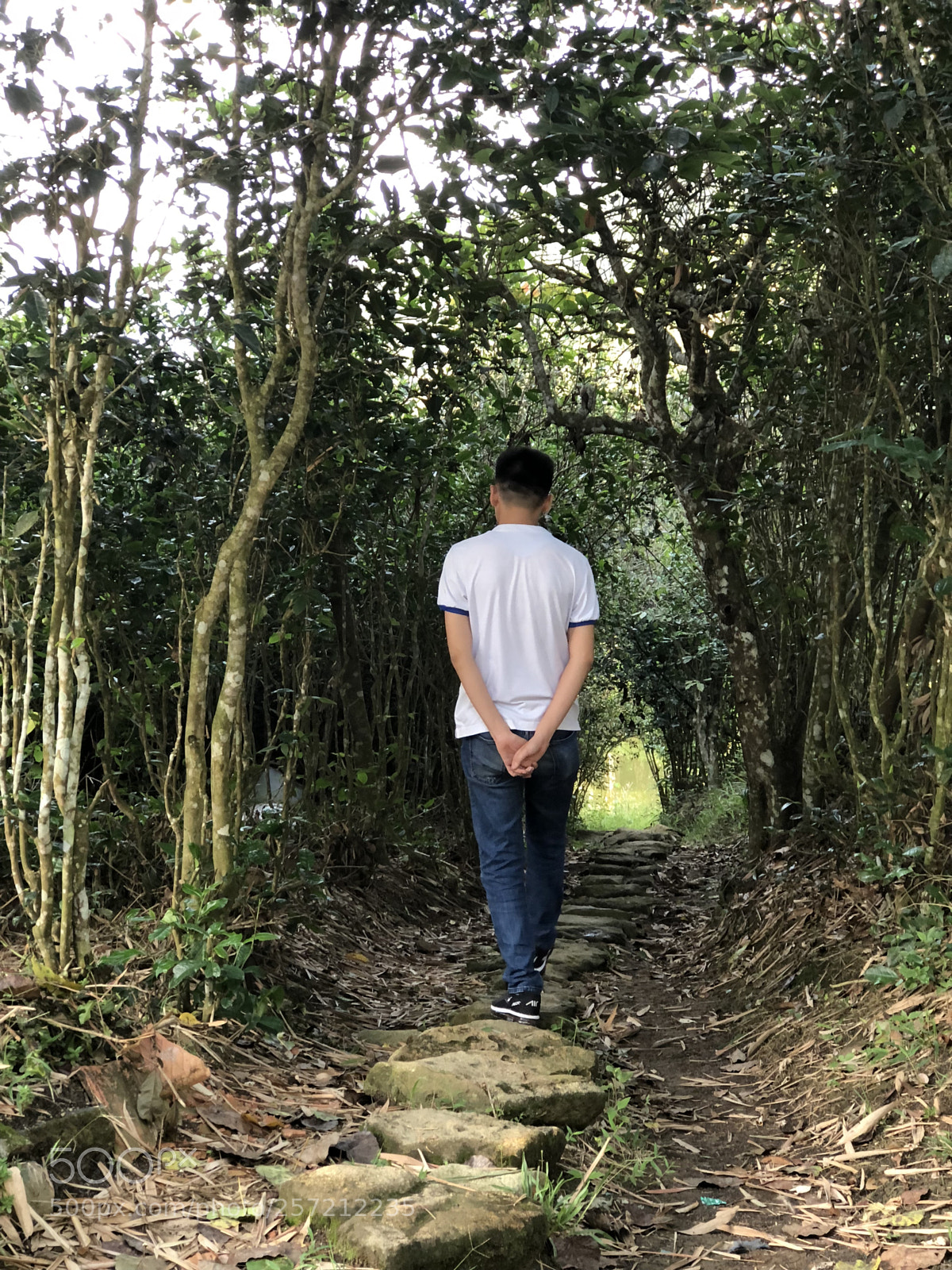 Apple iPhone 8 Plus sample photo. Img photography