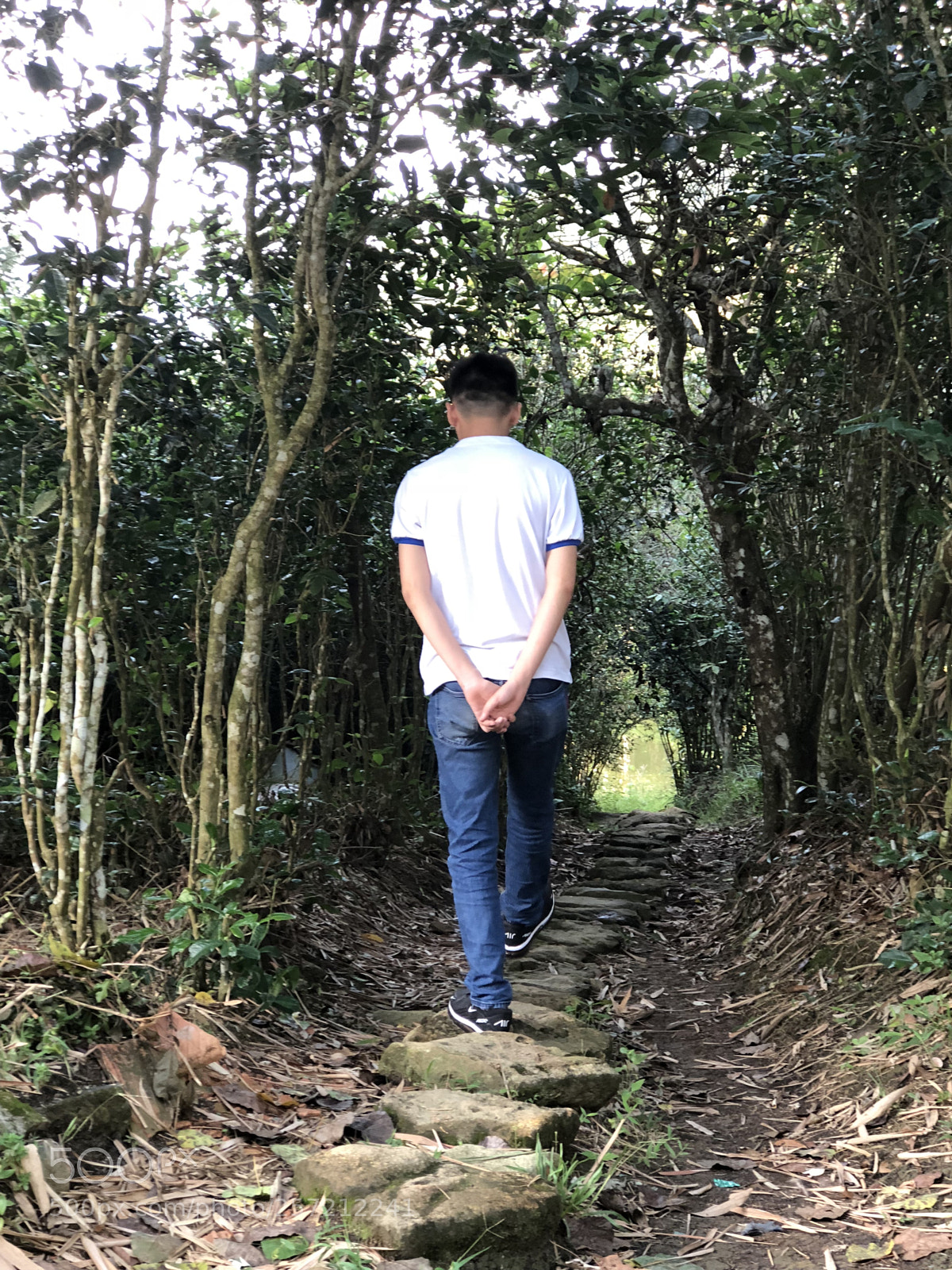 Apple iPhone 8 Plus sample photo. Img photography