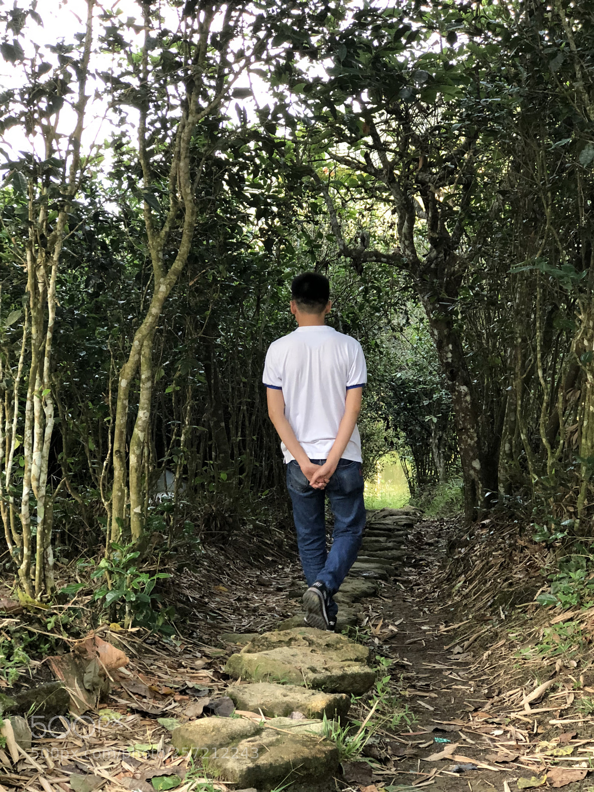 Apple iPhone 8 Plus sample photo. Img photography