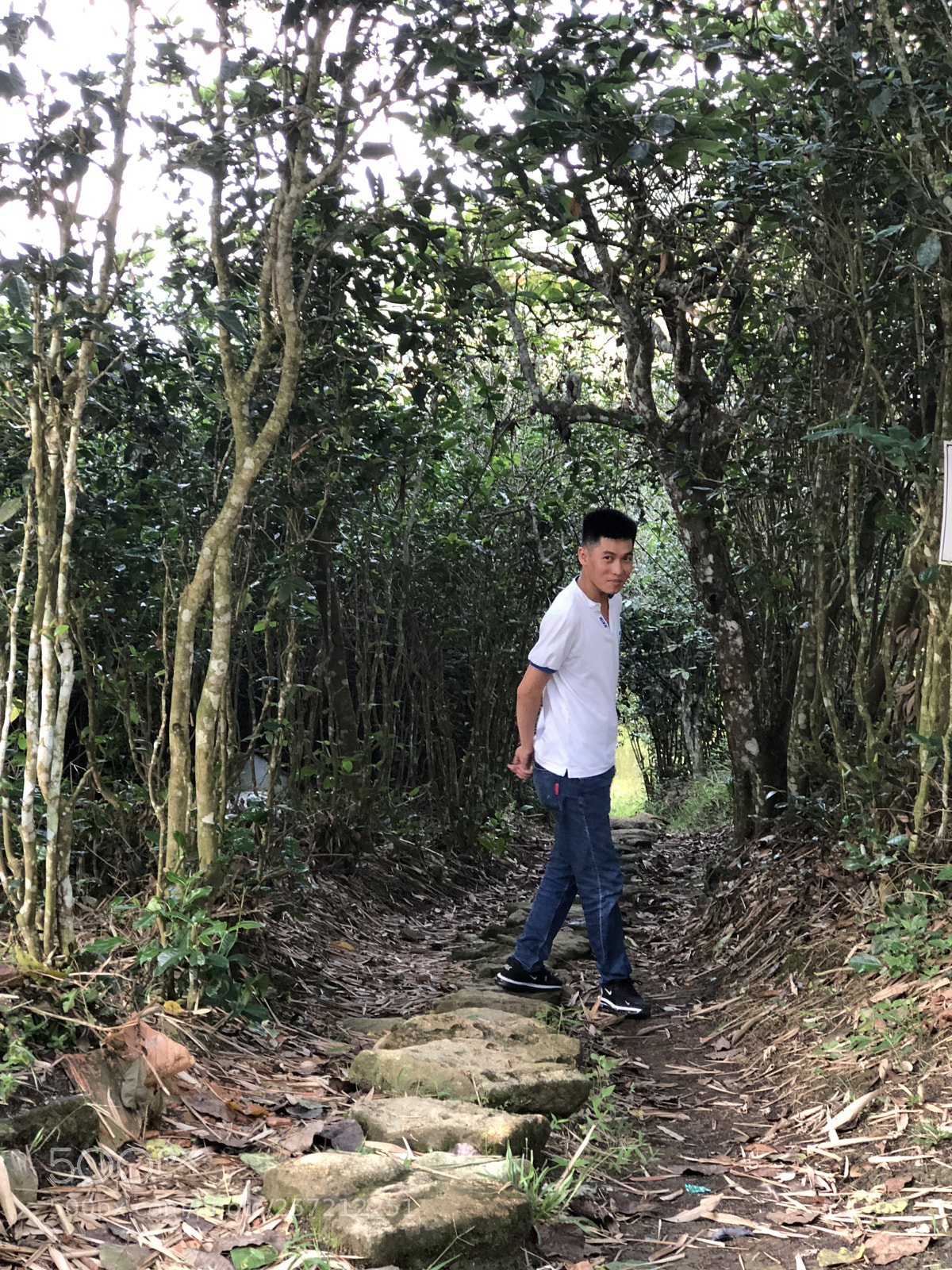 Apple iPhone 8 Plus sample photo. Img photography