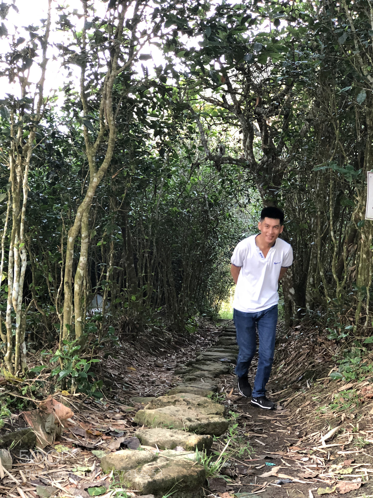 Apple iPhone 8 Plus sample photo. Img photography