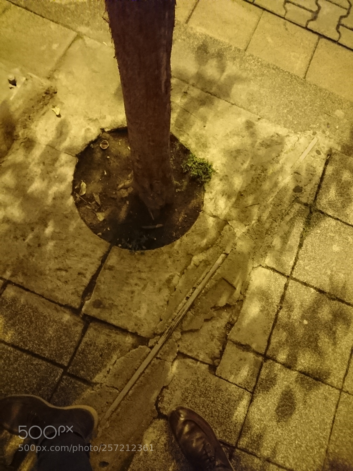 Sony Xperia XZ sample photo. Untitled photography