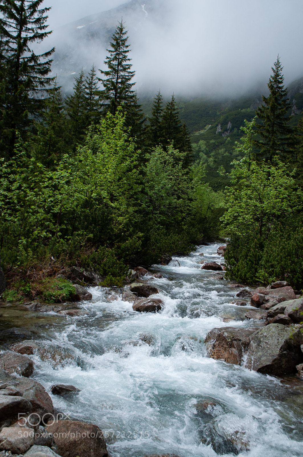 Nikon D5000 sample photo. Walking in the mountains photography