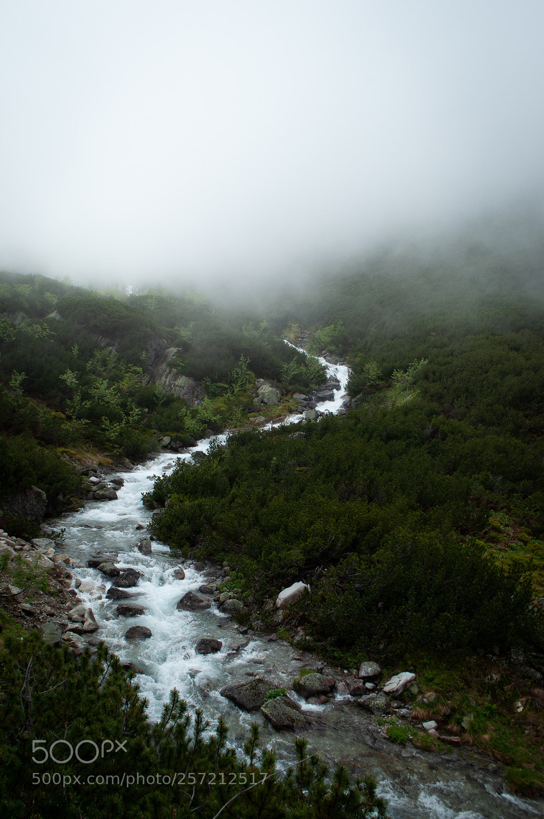 Nikon D5000 sample photo. Creek photography