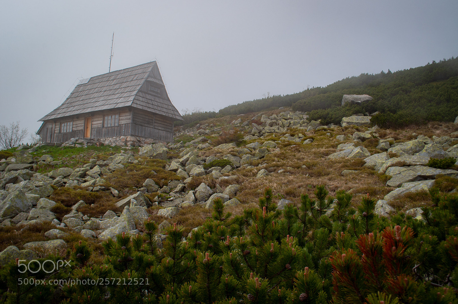 Nikon D5000 sample photo. In the mountains photography