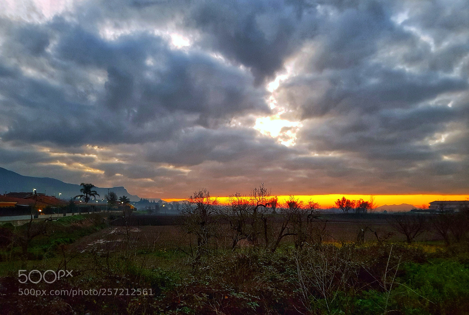 Samsung Galaxy S8+ sample photo. New morning photography