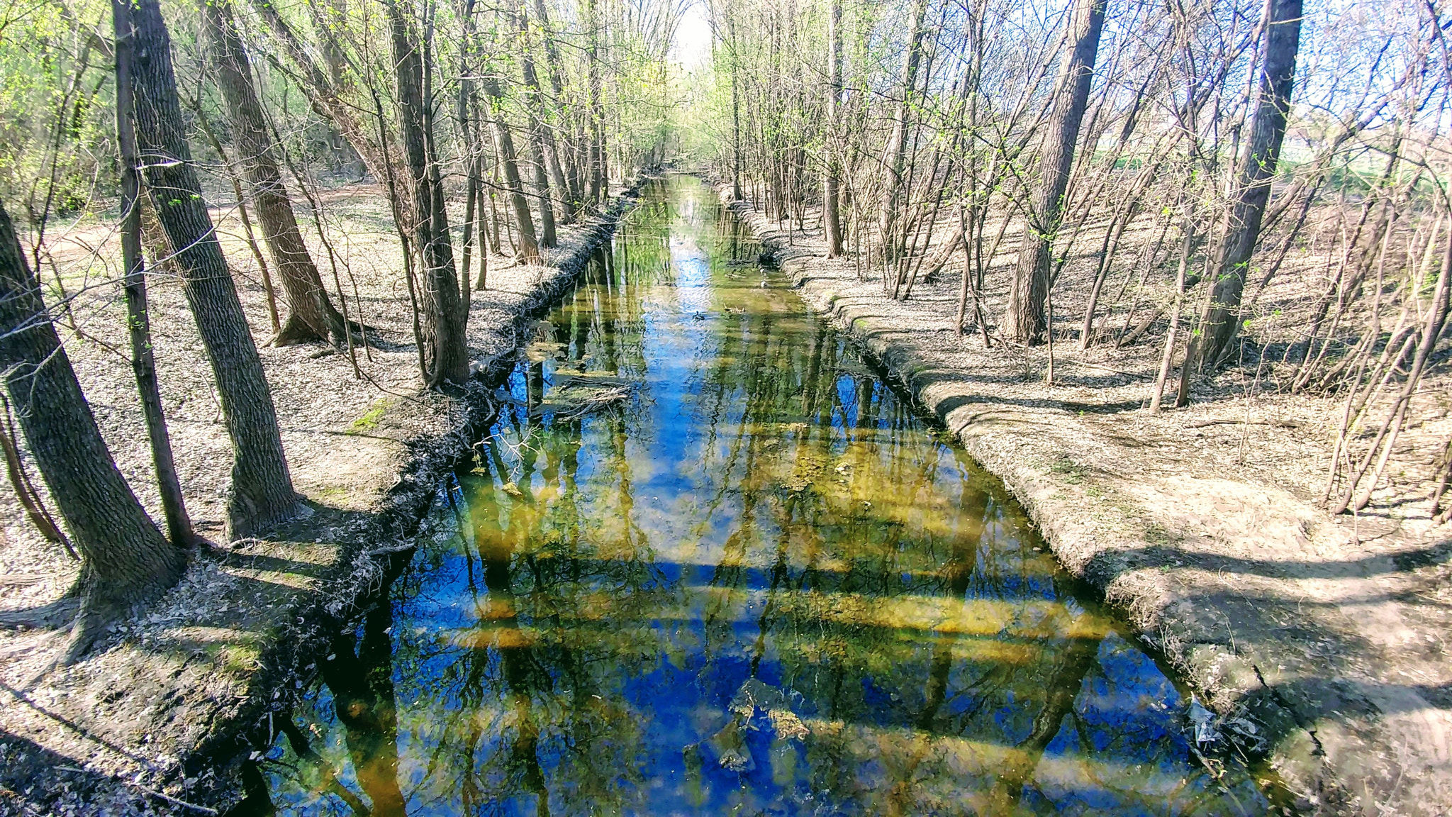 LG V20 sample photo. A walk in the park photography