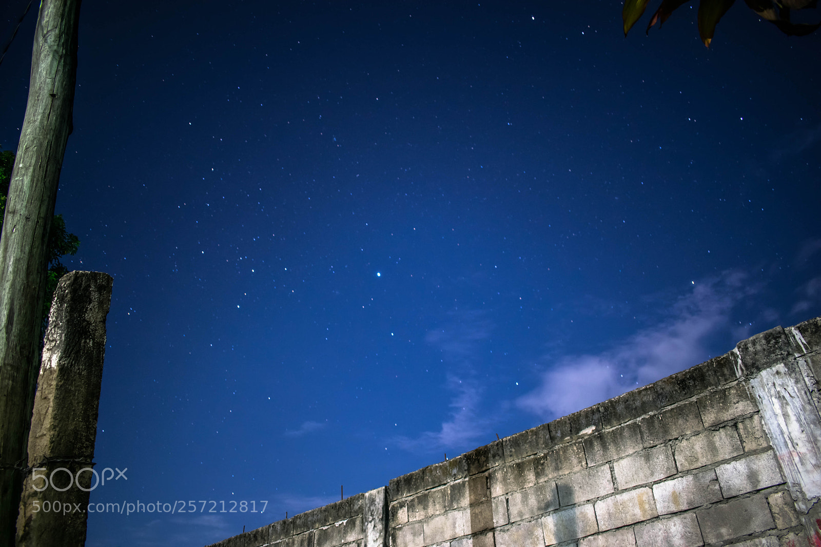 Nikon D5300 sample photo. Stars photography