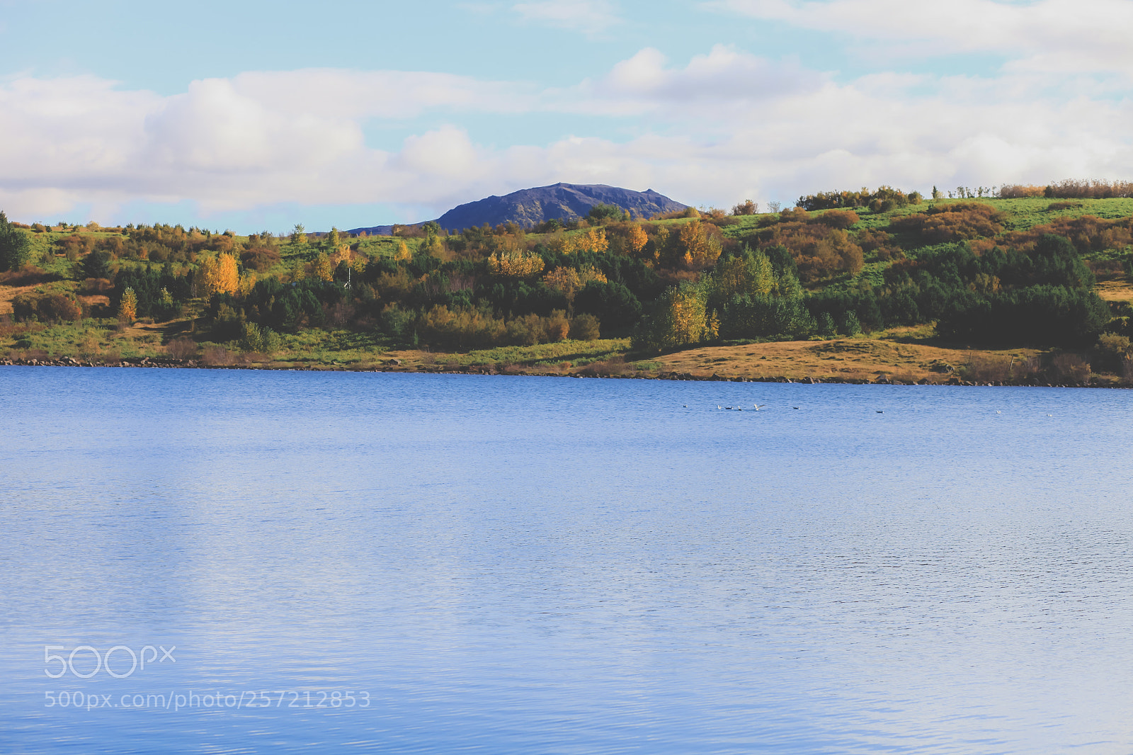 Canon EOS 5D Mark II sample photo. Nature photography