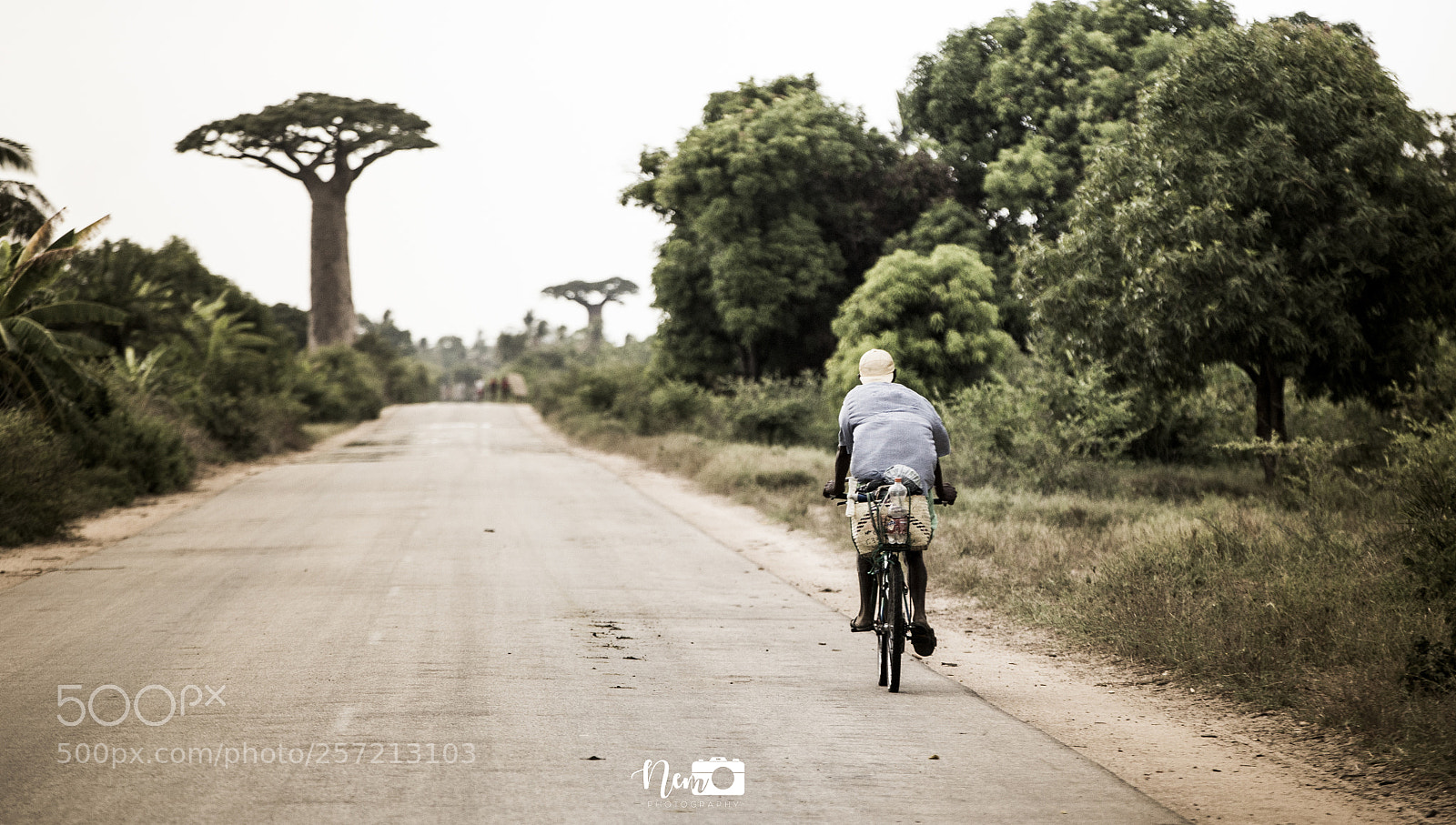Canon EOS 6D sample photo. On the road to photography