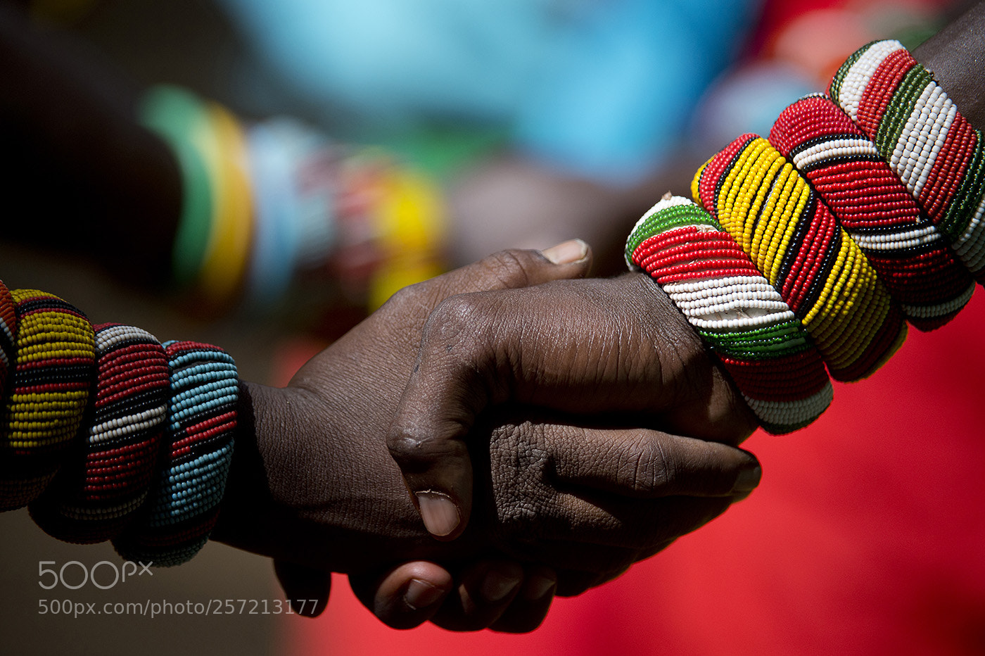 Nikon D4 sample photo. Samburu handshake (40089-d) photography