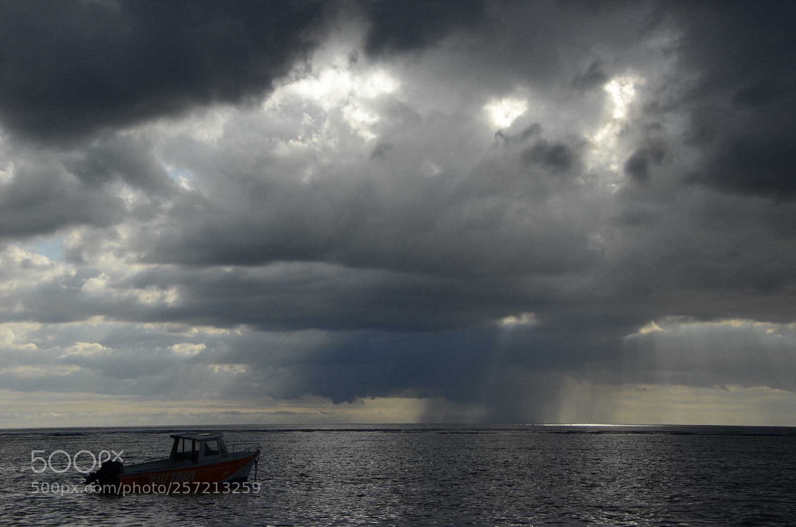 Nikon D7000 sample photo. Untitled photography